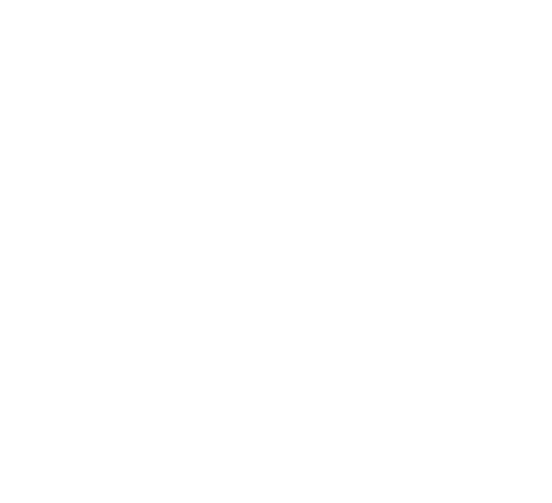 Lumen Impact Group